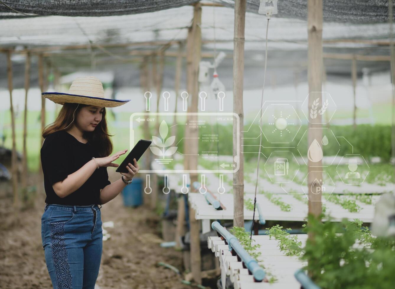 une agricultrice adolescente utilise une application pour tablette pour contrôler la culture de légumes en serre, ferme intelligente. photo