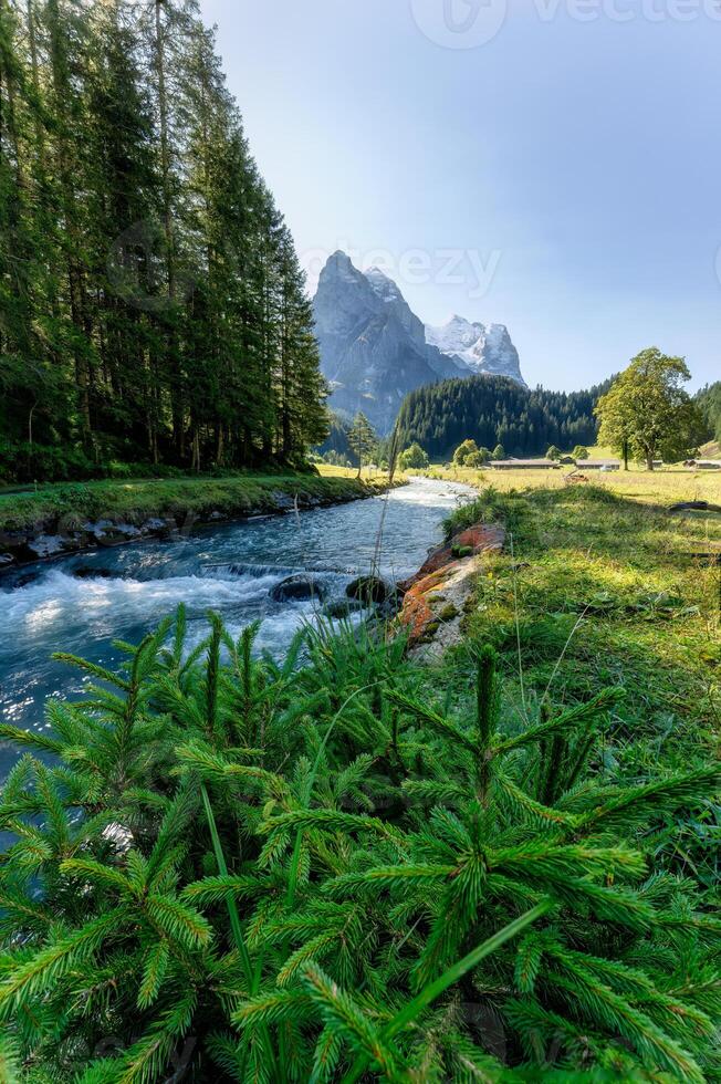russenlaui avec corne de puits Suisse Alpes et reichenbach rivière écoulement dans été sur ensoleillé journée à Suisse photo