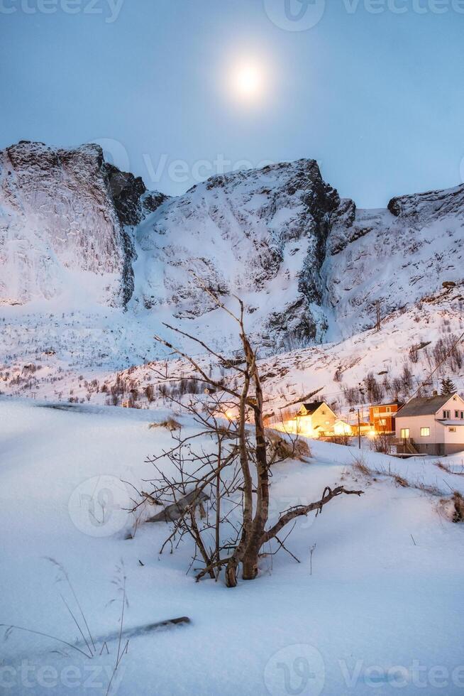 sec arbre sur neige avec embrasé village et Montagne photo