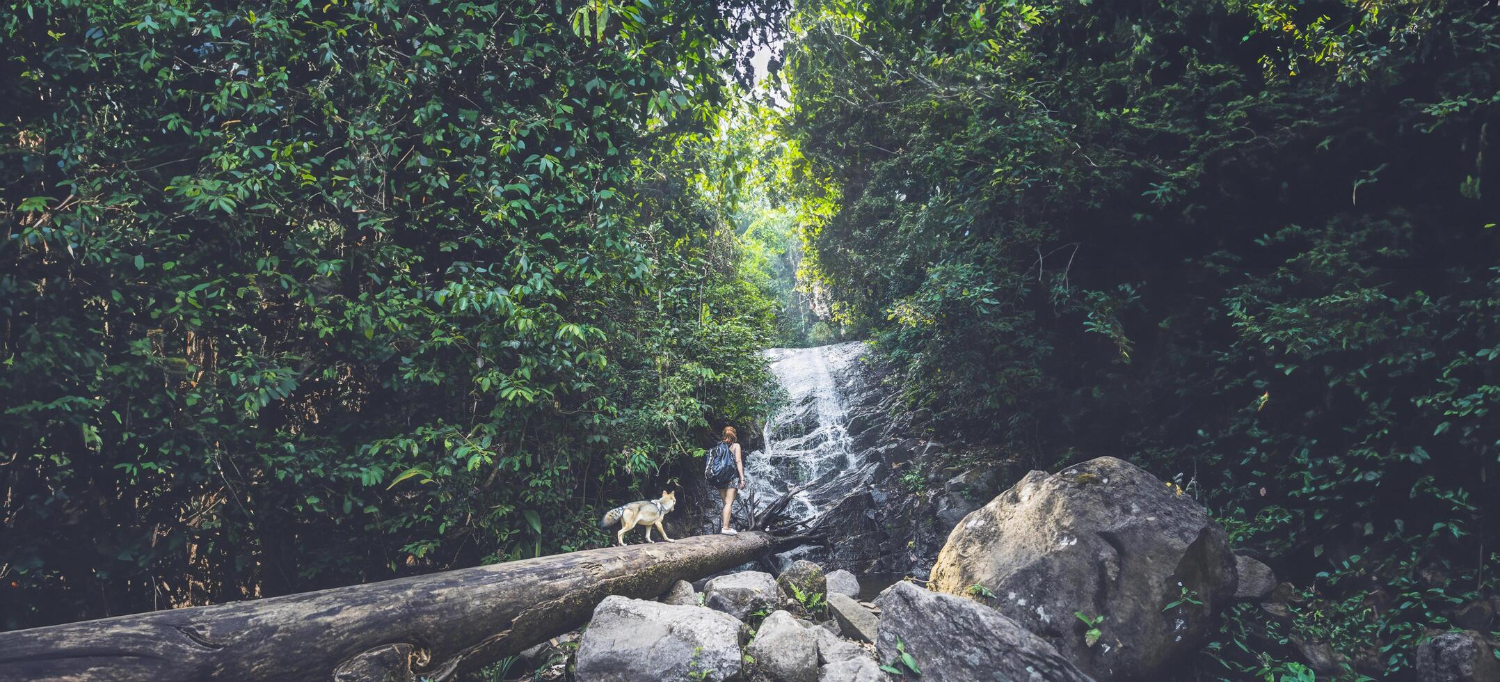 femme asie voyageurs voyage nature forêts, montagnes, cascades photo