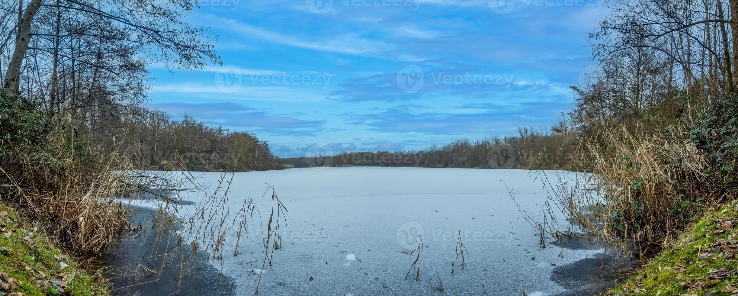 image de une congelé étang dans le Matin lumière photo