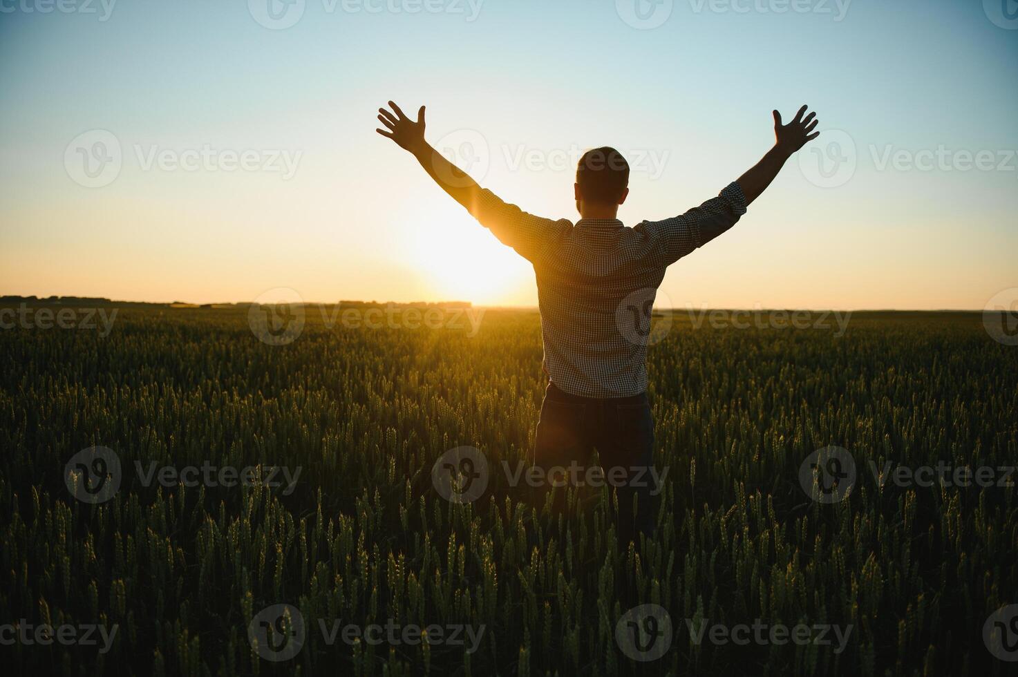 retour vue de adulte homme agriculteur supporter seul et Regardez à le coucher du soleil ou lever du soleil dans ciel. gars supporter sur blé champ. mûr récolte temps. Soleil brille dans ciel photo