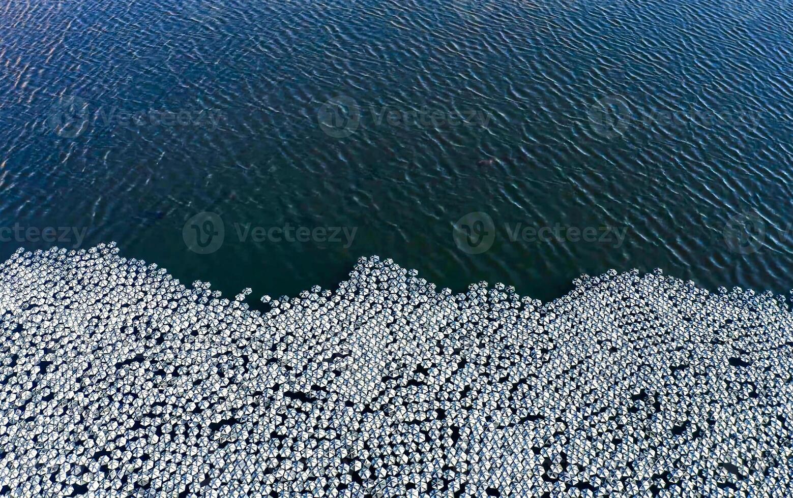 petit reflétant assiettes groupé ensemble dans une grand l'eau réservoir. photo