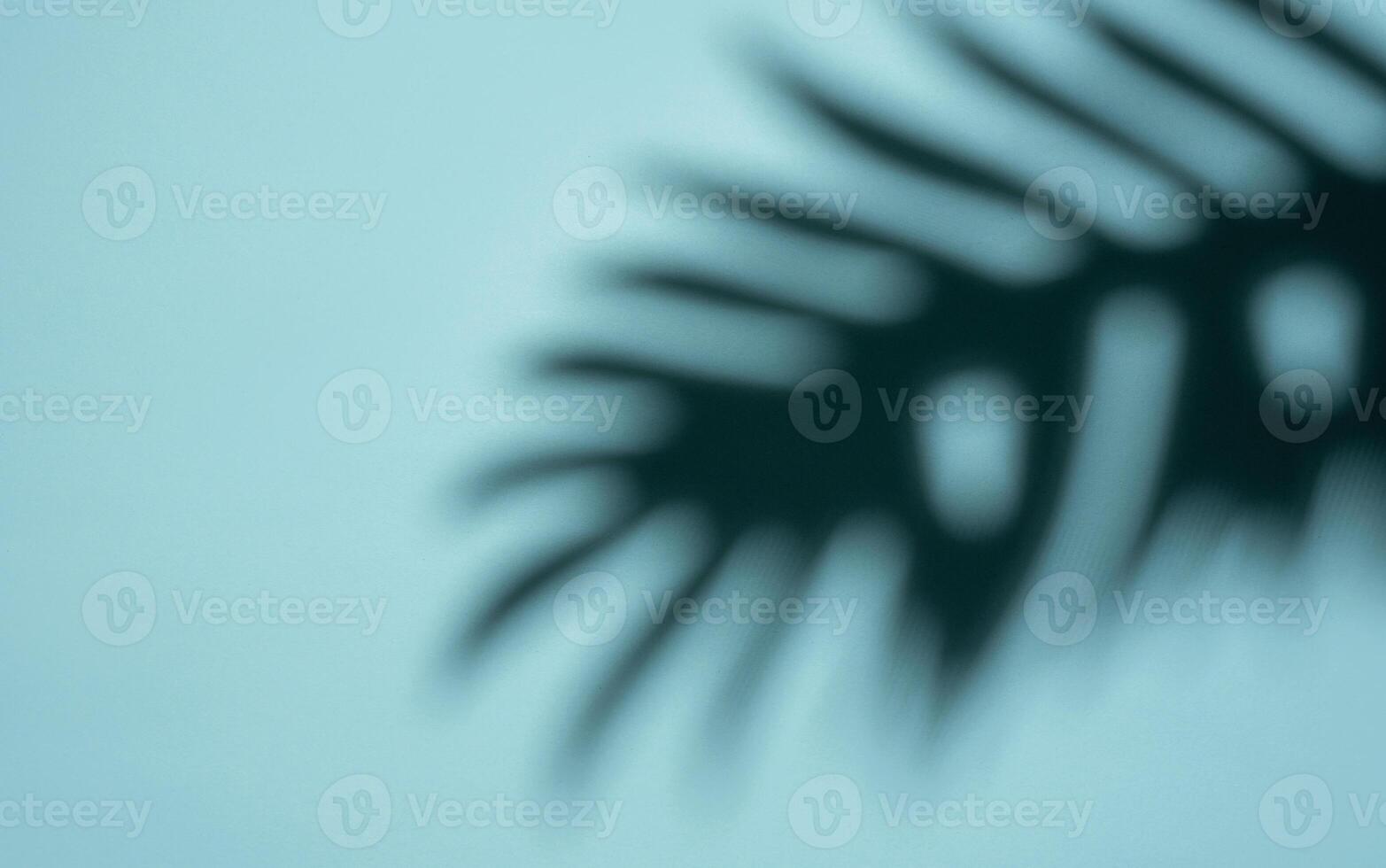 abstrait ombre de une tropical feuille sur une lumière bleu Contexte dans doux concentrer photo
