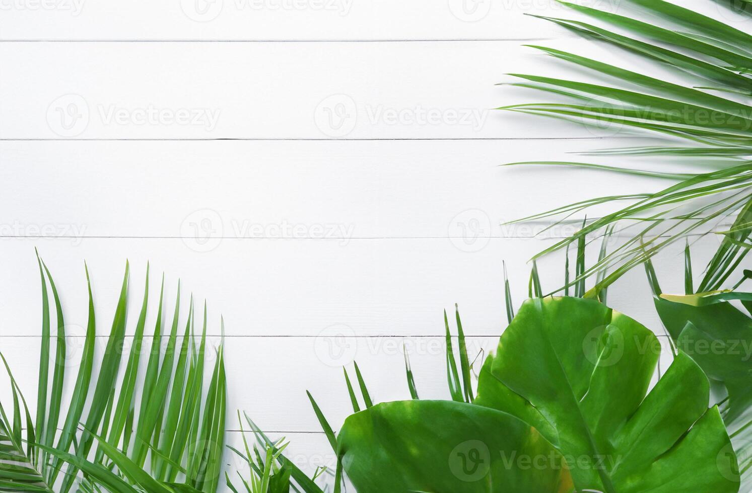 Cadre fabriqué de tropical feuilles sur en bois Contexte photo