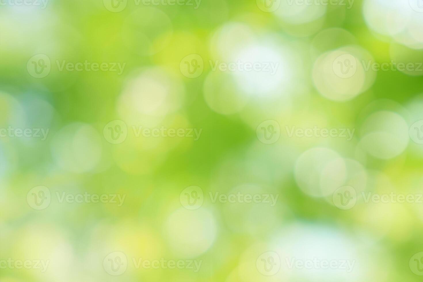 magnifique vert bokeh de arbre feuilles la nature en dehors de concentrer Contexte photo