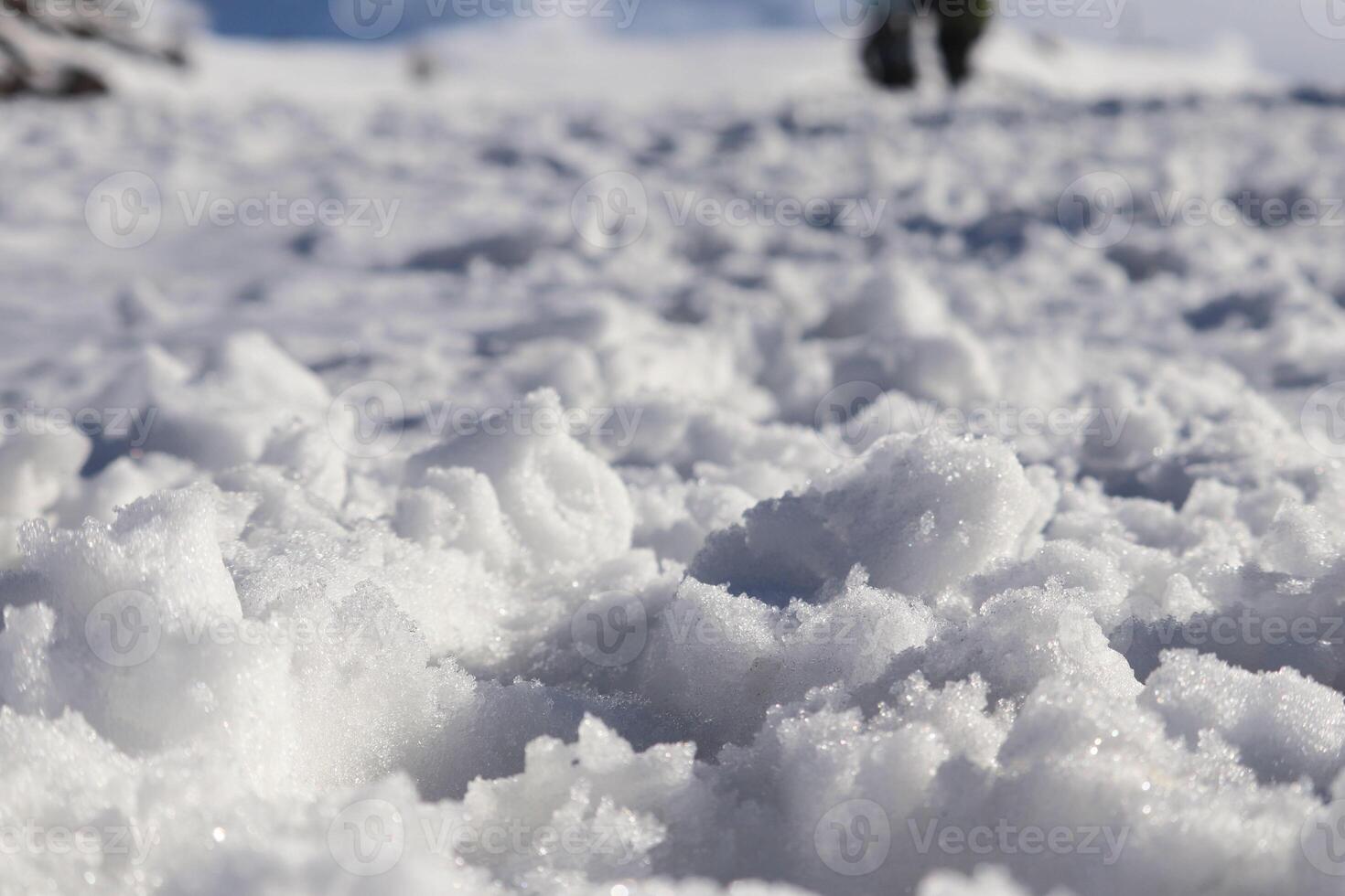 blanc neigeux champ en dessous de brillant clair hiver dans Inde photo
