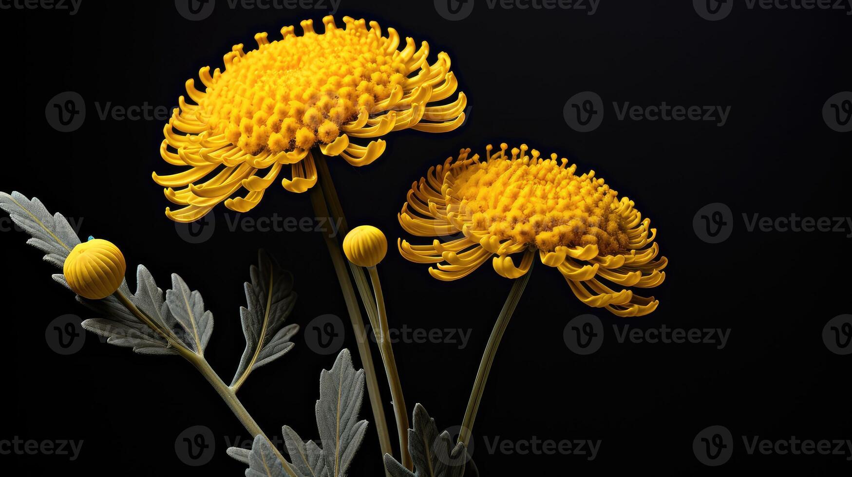 ai généré Jaune immortelle fleur ai généré photo