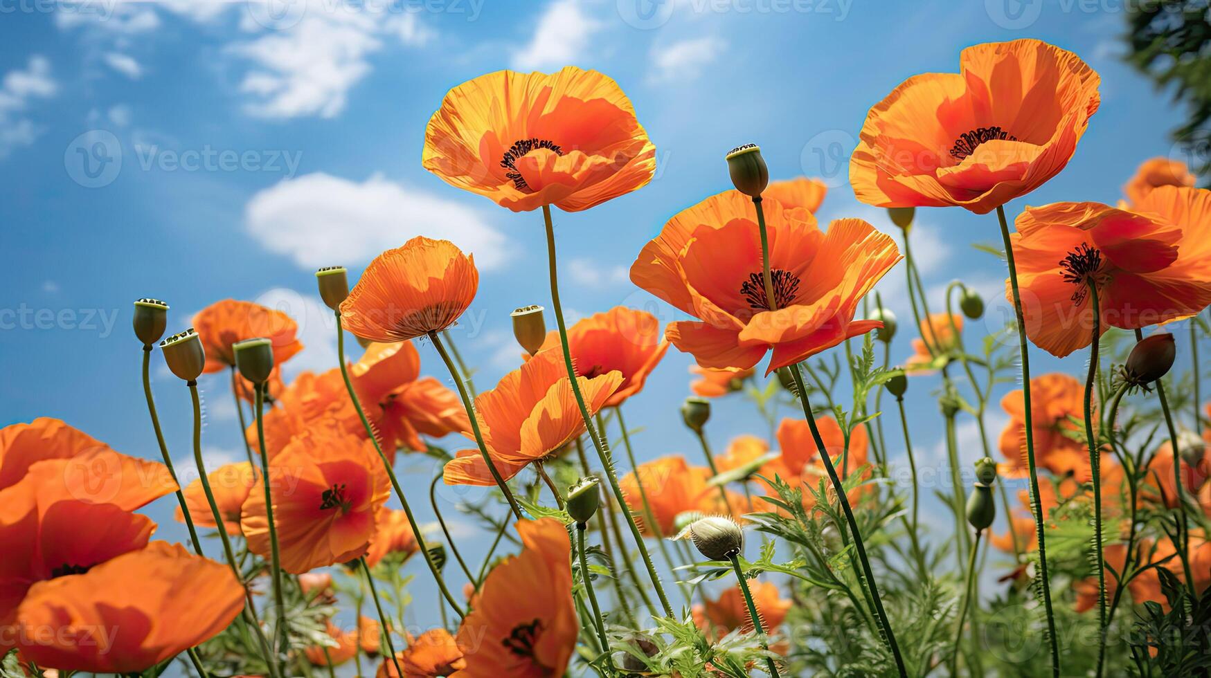 ai généré fragrance mai fleurs Orange ai généré photo