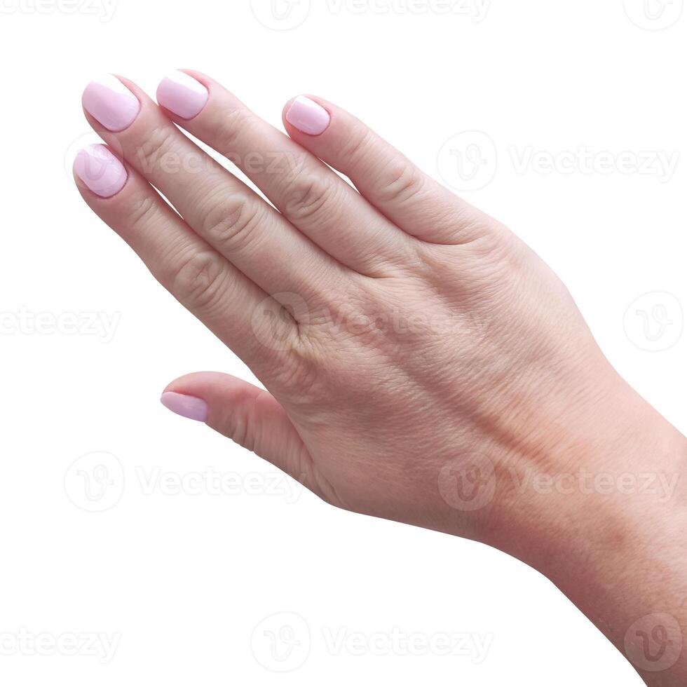 femelle main avec une manucure de rose polonais isolé sur une blanc Contexte. photo