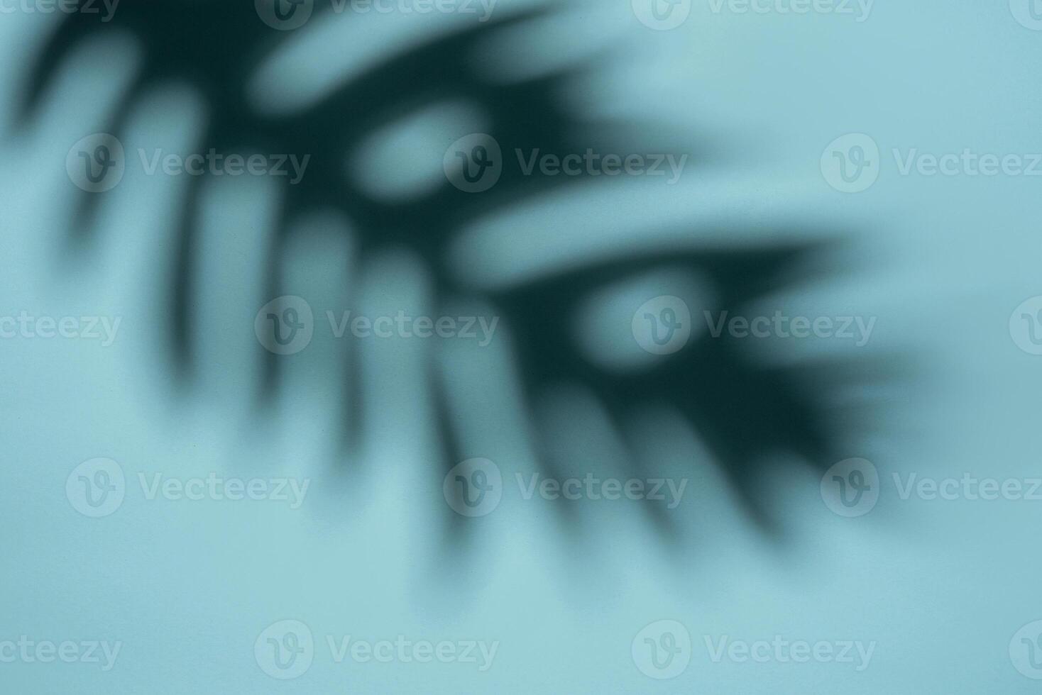 abstrait ombre de une tropical feuille sur une lumière bleu Contexte dans doux concentrer photo