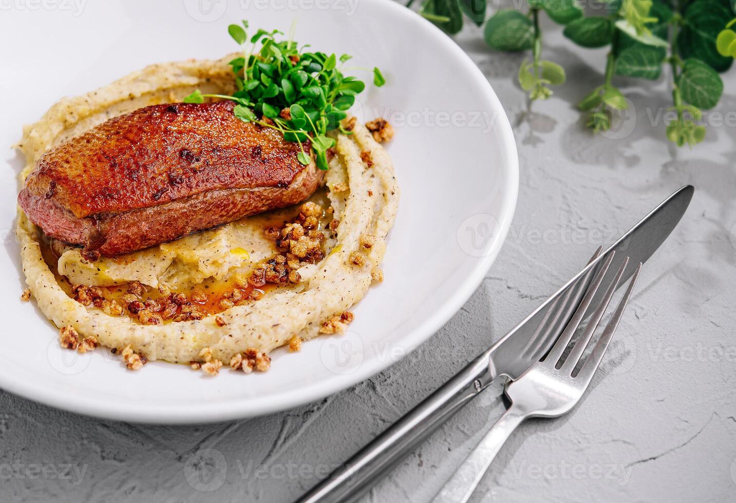 canard Sein steak avec Patate en purée photo