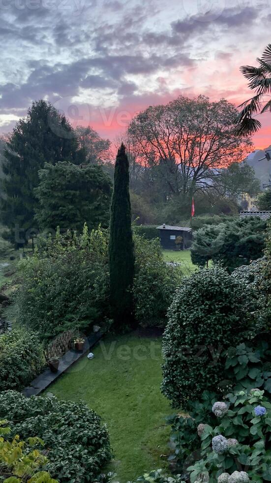 une jardin avec une arbre dans le premier plan et une ciel dans le Contexte photo