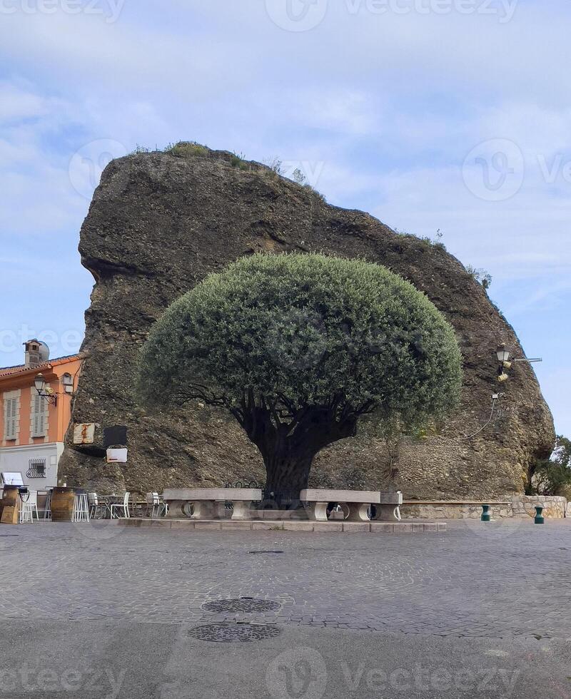 une grand Roche formation avec vert arbre photo