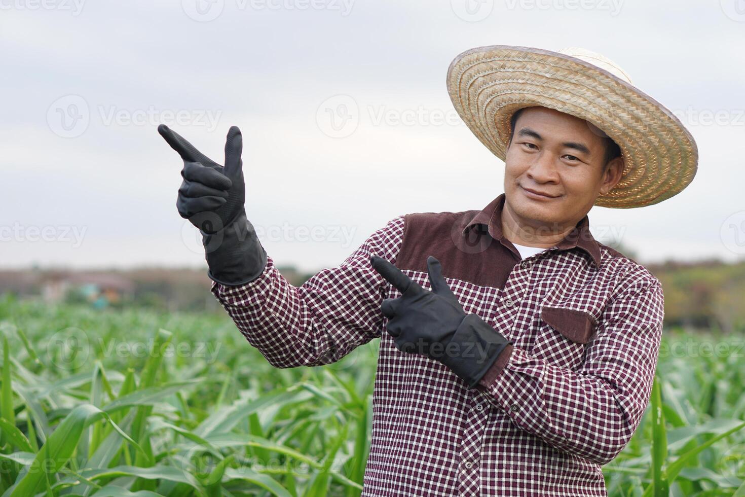 asiatique homme agriculteur est à jardin, porte chapeau, marron plaid chemise, point les doigts pour ajouter texte ou publicité, supporter à maïs jardin, ressentir confiant. concept, agriculture profession. thaïlandais agriculteur mode de vie. photo