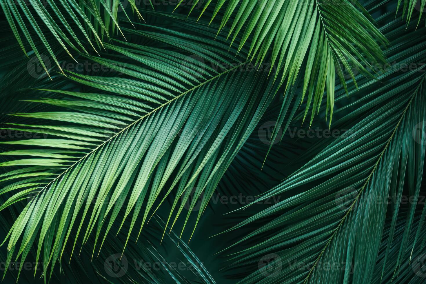 ai généré luxuriant paume feuilles tropical. produire ai photo