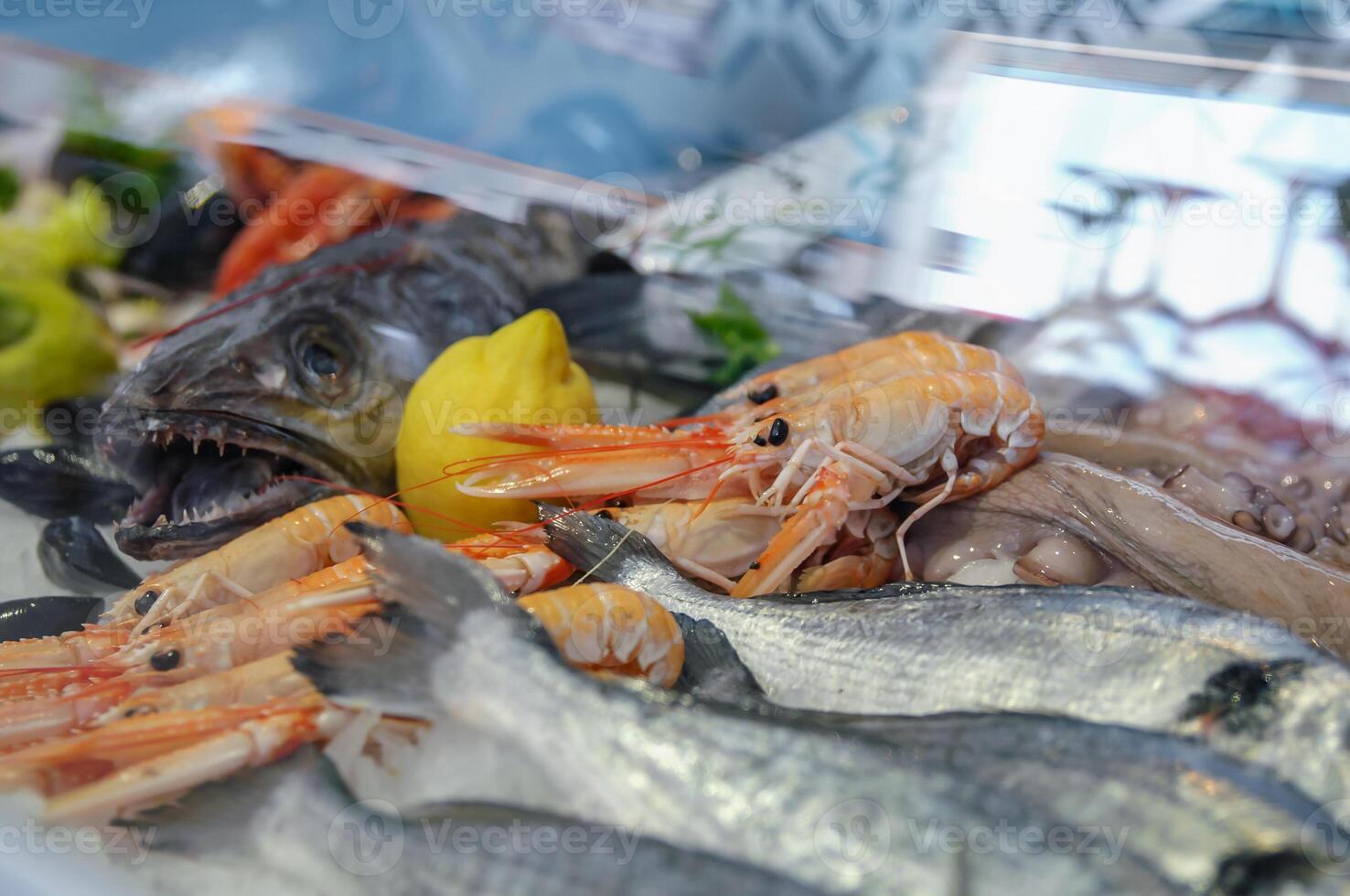 vitrine avec Frais fruit de mer, poisson, citron photo