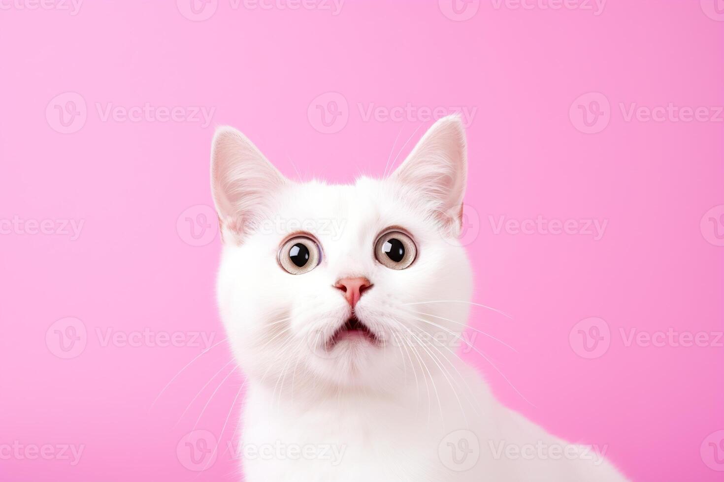 ai généré blanc surpris chat avec grand, captivant yeux sur rose Contexte. idéal pour promotions, génial offres ou des offres. bien prix, noir vendredi, rabais. copie espace pour texte. étonné animal de compagnie. photo