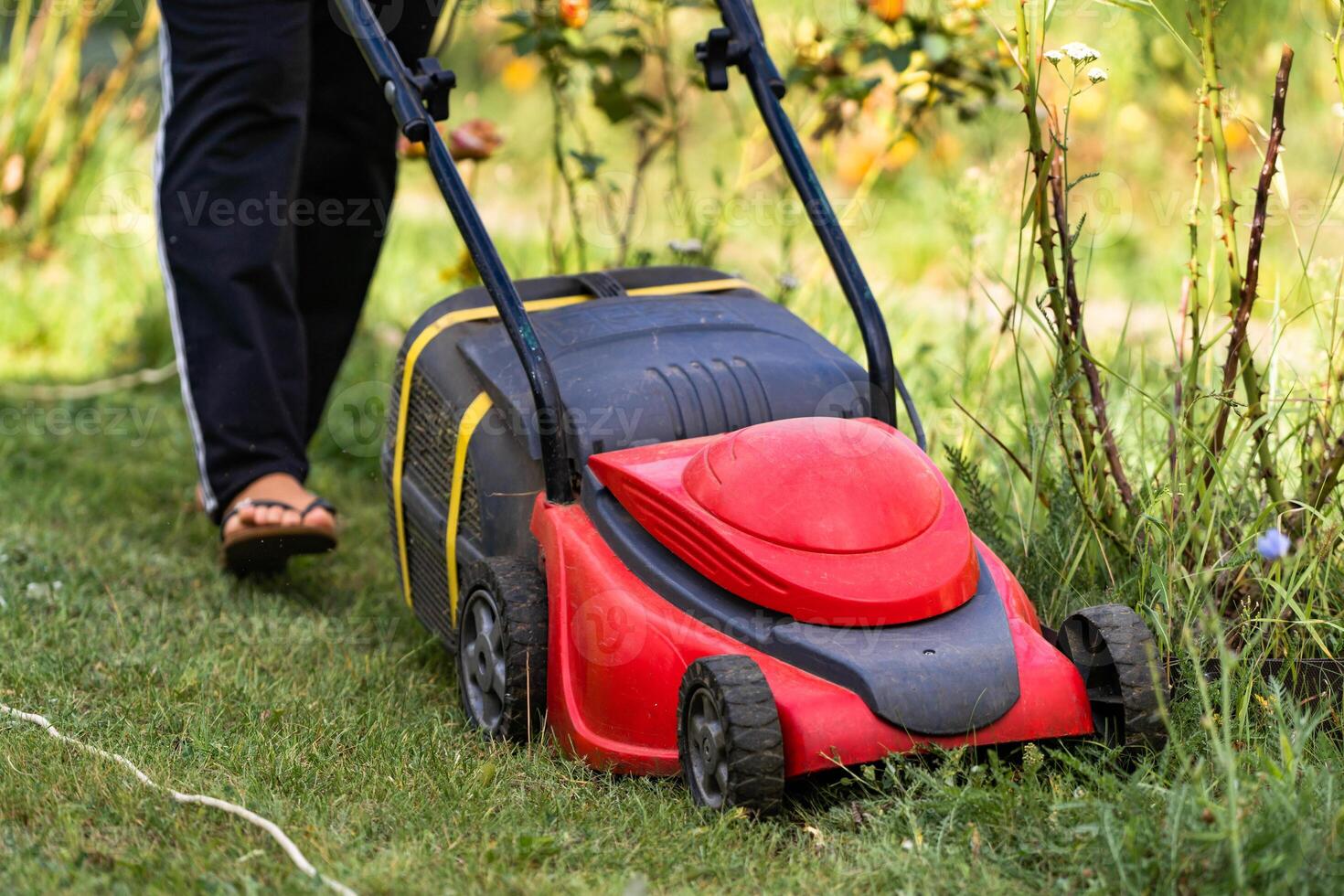 pelouse déménageur dans action. pelouse tondeuse Couper herbe photo