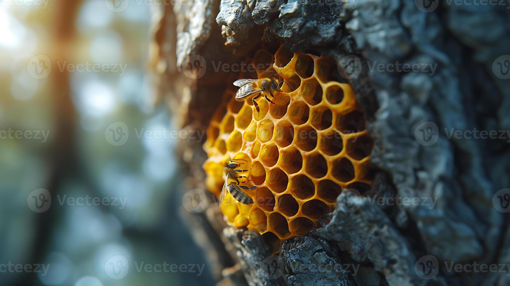 ai généré une abeille nid à l'intérieur une gros arbre photo