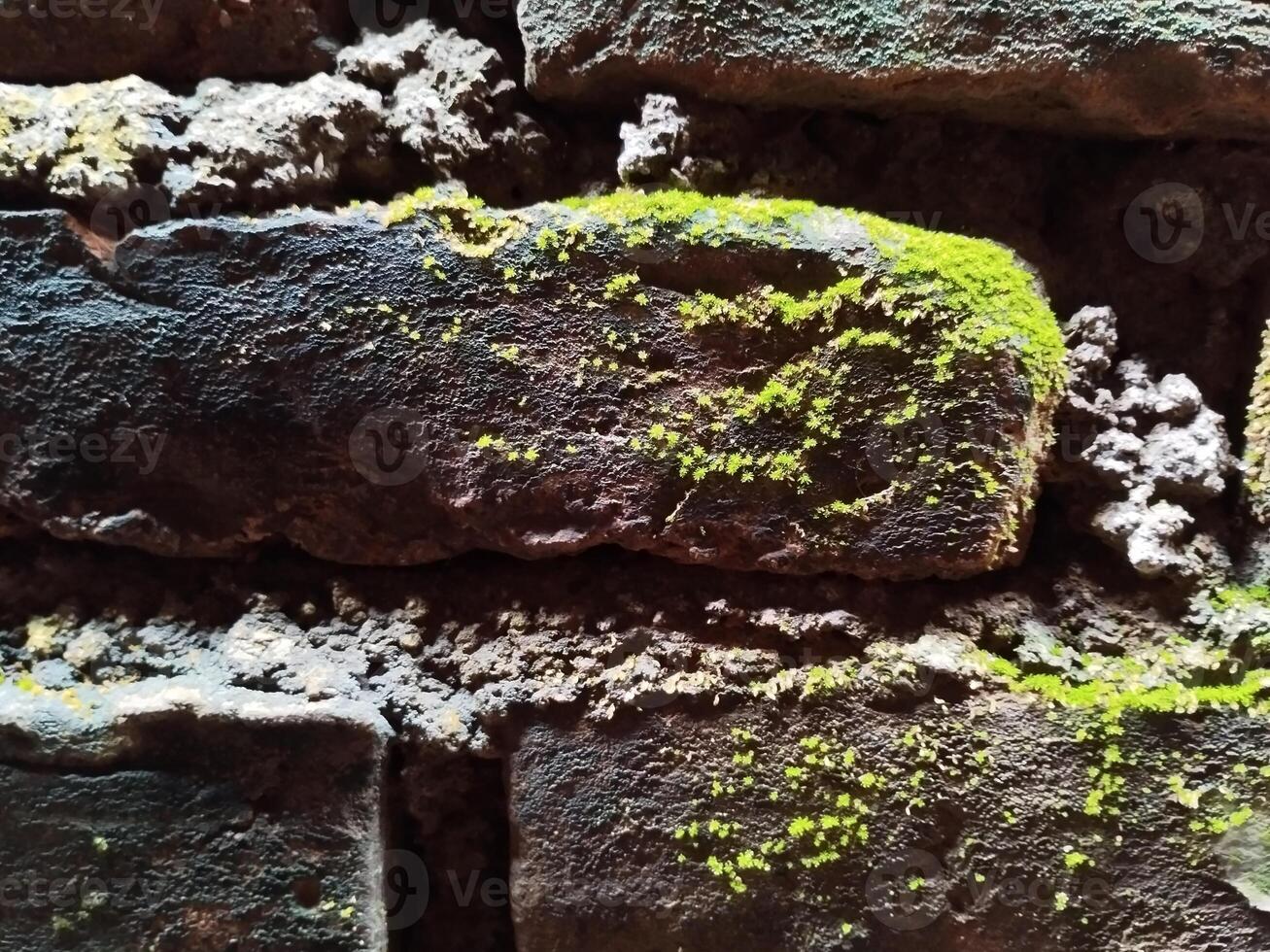 Contexte photo de une pierre mur et mousse sur il
