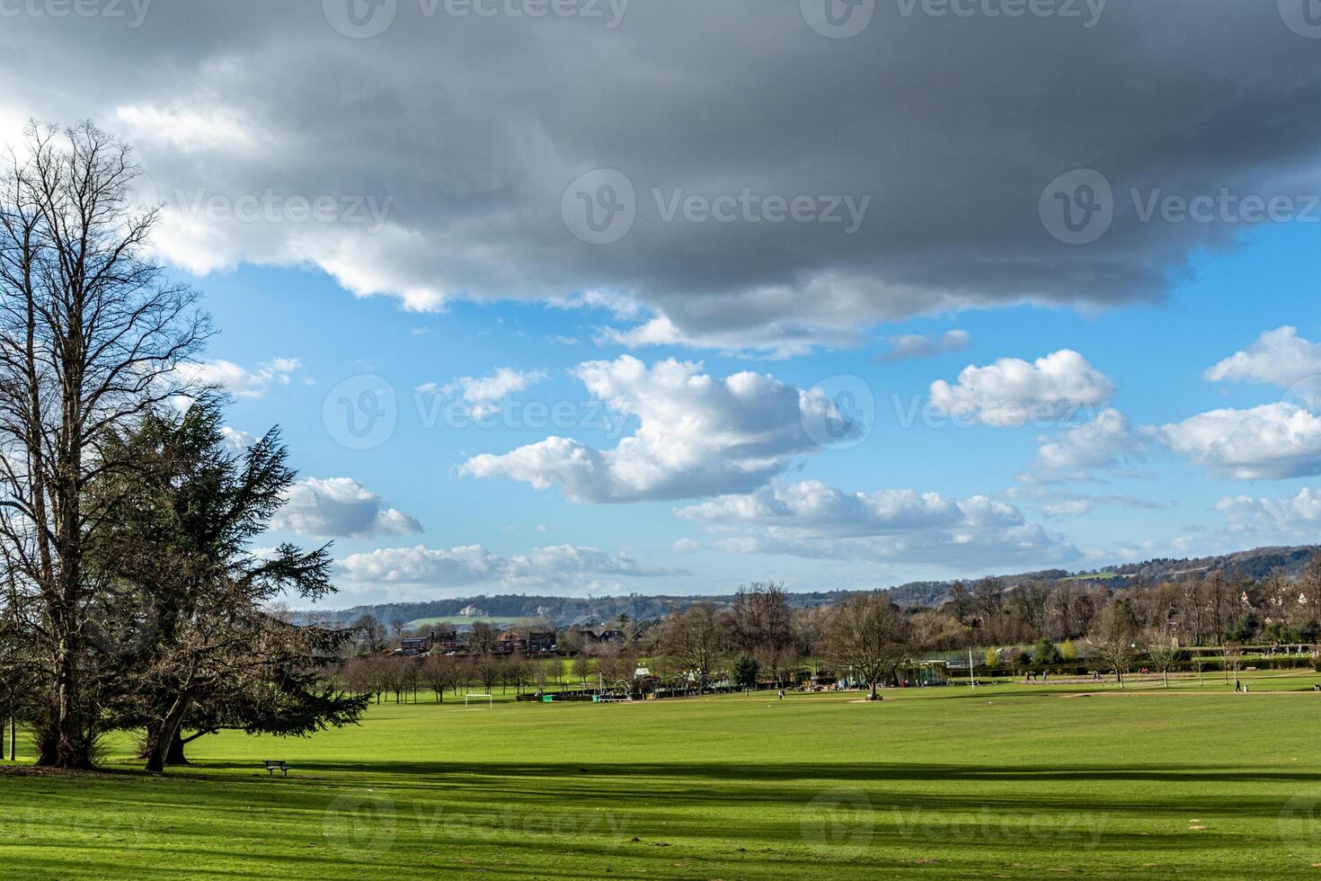 scénique paysage avec luxuriant vert champ, des arbres, et une spectaculaire nuageux ciel. photo