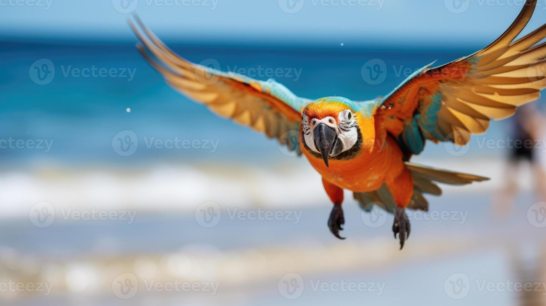 ai généré vibrant perroquet prend une saut sur le sablonneux rive, afficher élégant des lunettes de soleil, ai généré. photo