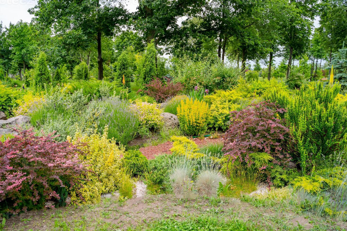 magnifique paysages de fleurs et la nature. vert herbe et jolie floraison. photo