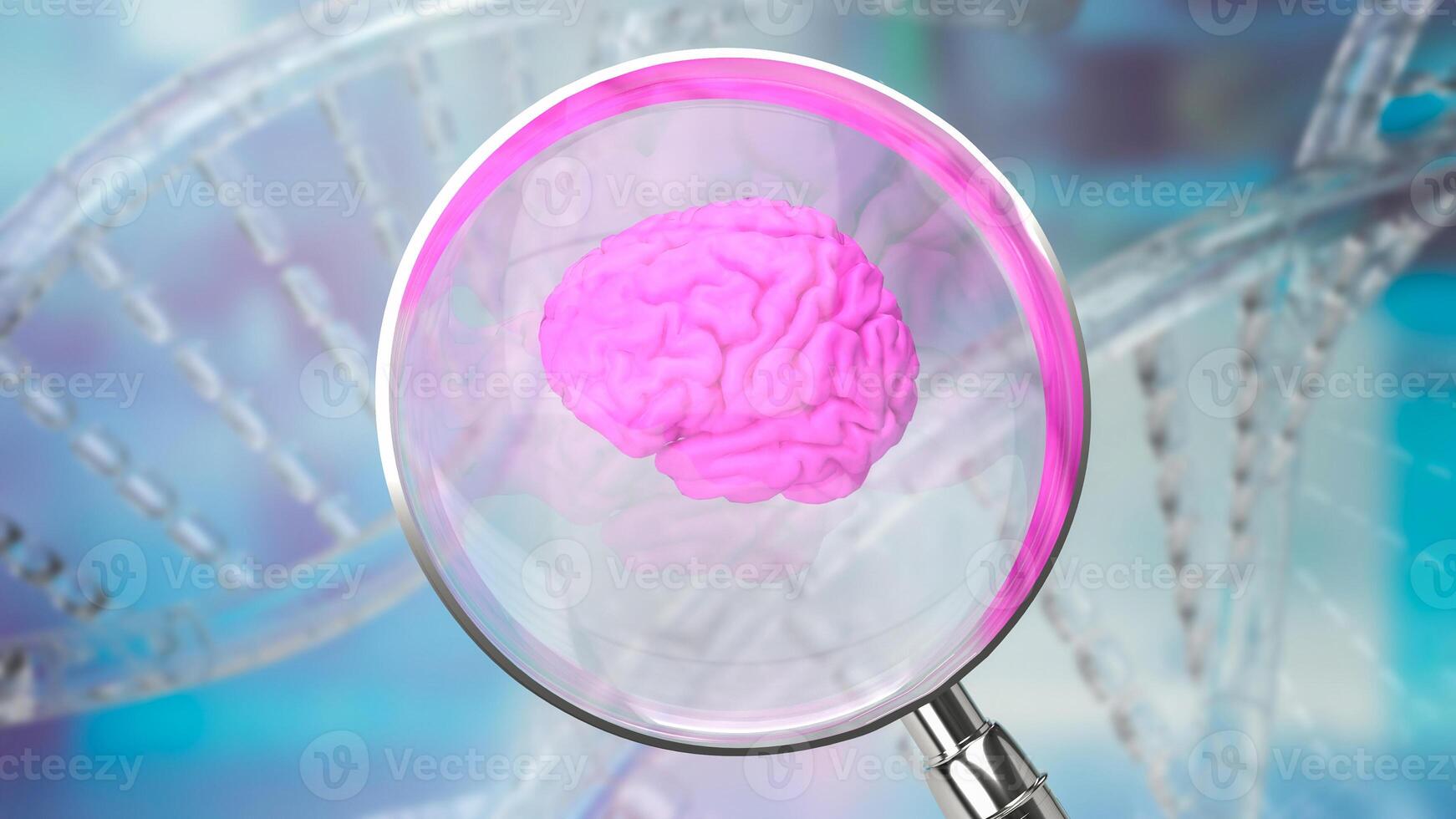 le grossissant verre et cerveau pour sci ou médical. concept 3d le rendu. photo