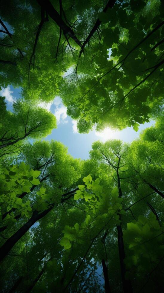 ai généré vert canopée vue de forêt des arbres de au dessous de dans le ciel verticale mobile fond d'écran photo
