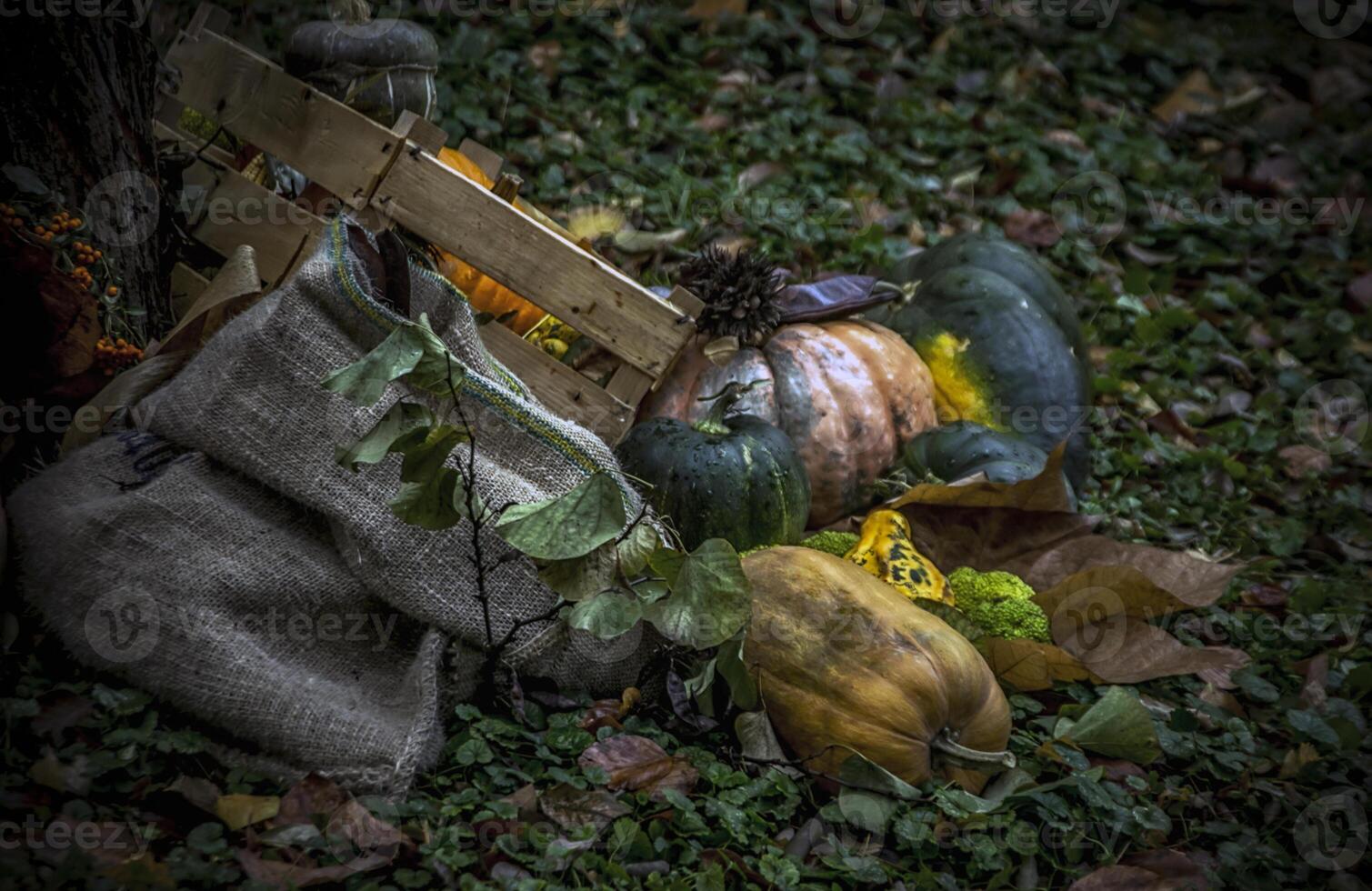 citrouilles et autre l'automne des fruits et herbes comme une partie de une diorama dans une parc photo