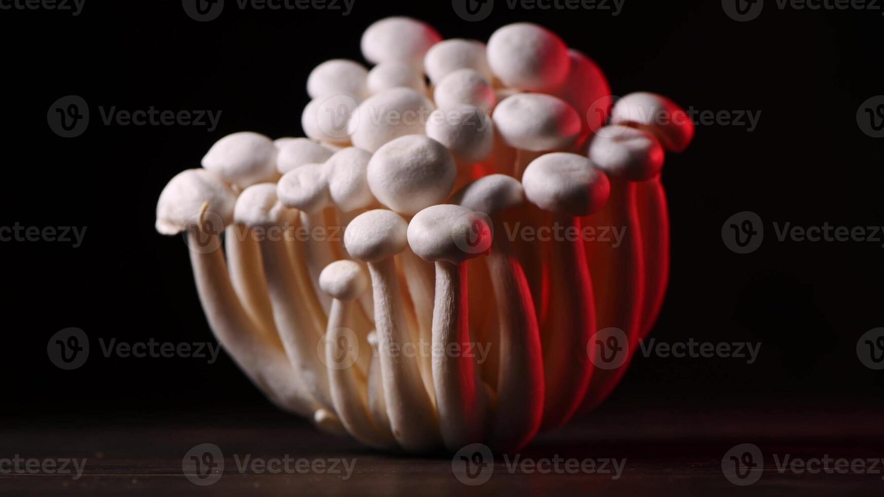 fermer de une bouquet de Shimeji champignons avec différent couleurs sur foncé Contexte photo