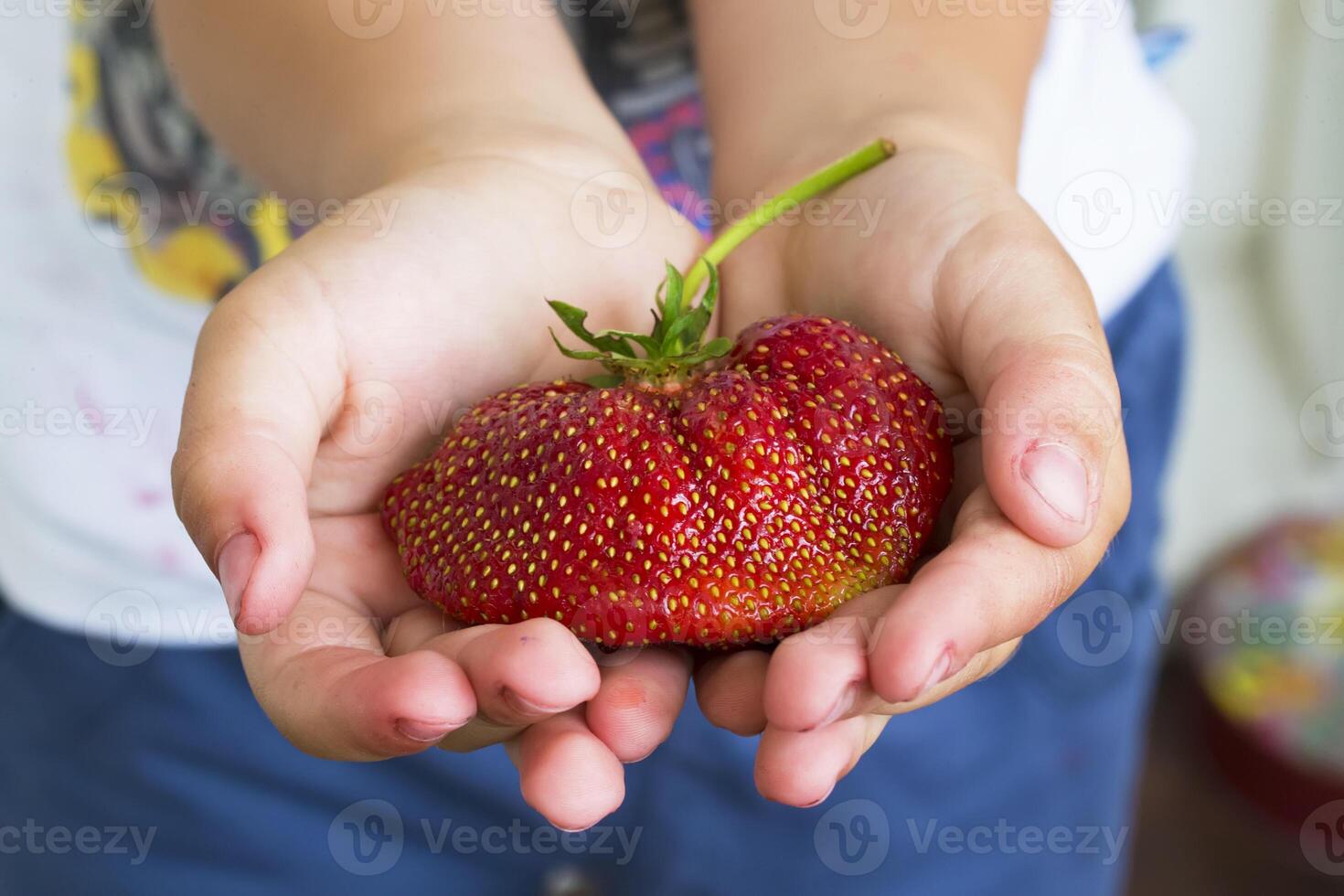 grand des fraises dans enfants mains. photo