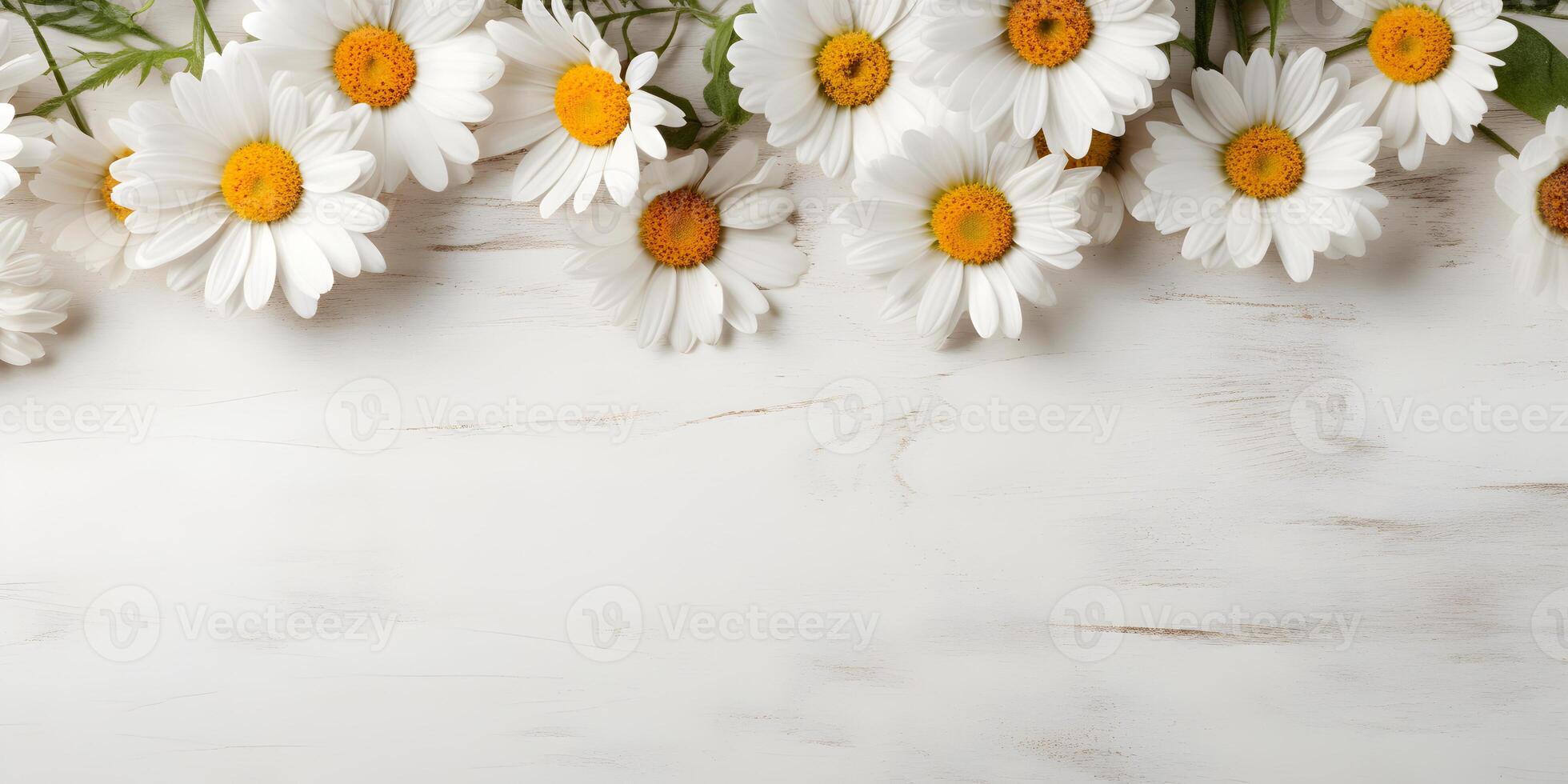 ai généré Marguerite fleurs sur blanc en bois arrière-plan, été camomille plat allonger bannière. la saint valentin, aux femmes, les mères jour, anniversaire ou mariage concept. Haut voir. copie espace. généré ai. photo