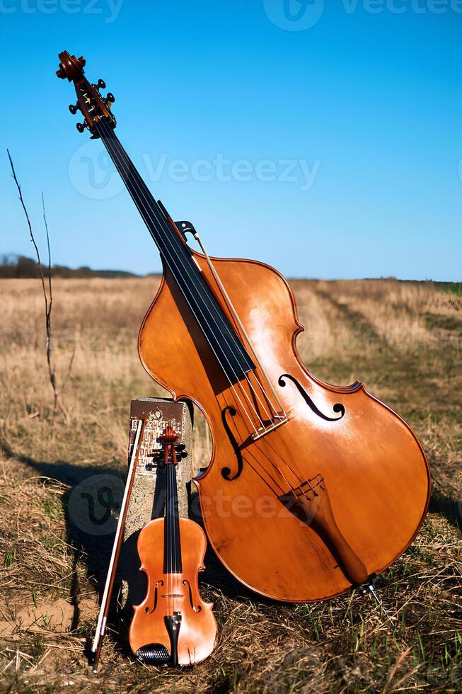 violon et double basse dans une champ contre une toile de fond de jauni herbe et clair ciel photo