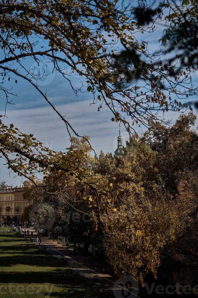 vue de le l'automne ruelle dans Cracovie de le la taille de le Château des murs photo