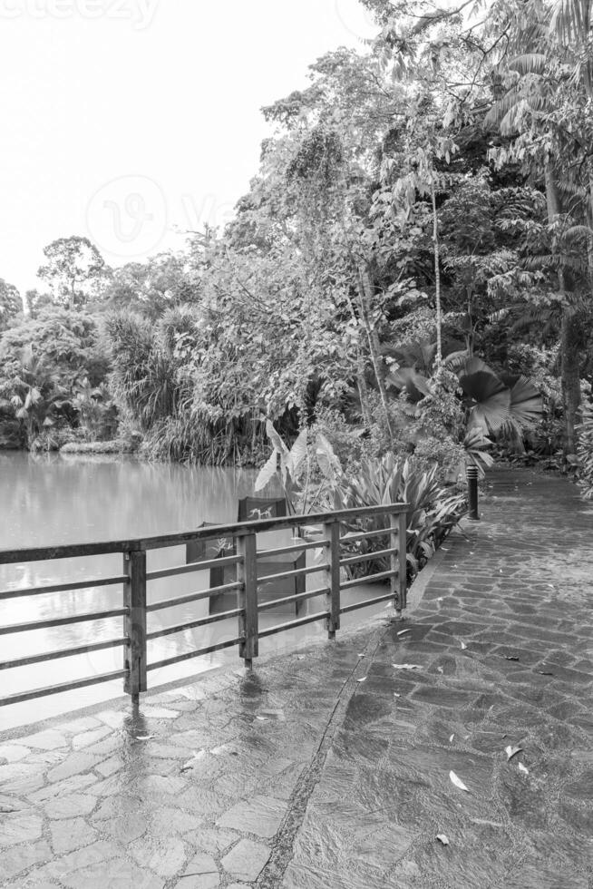 jardin dans Singapour photo