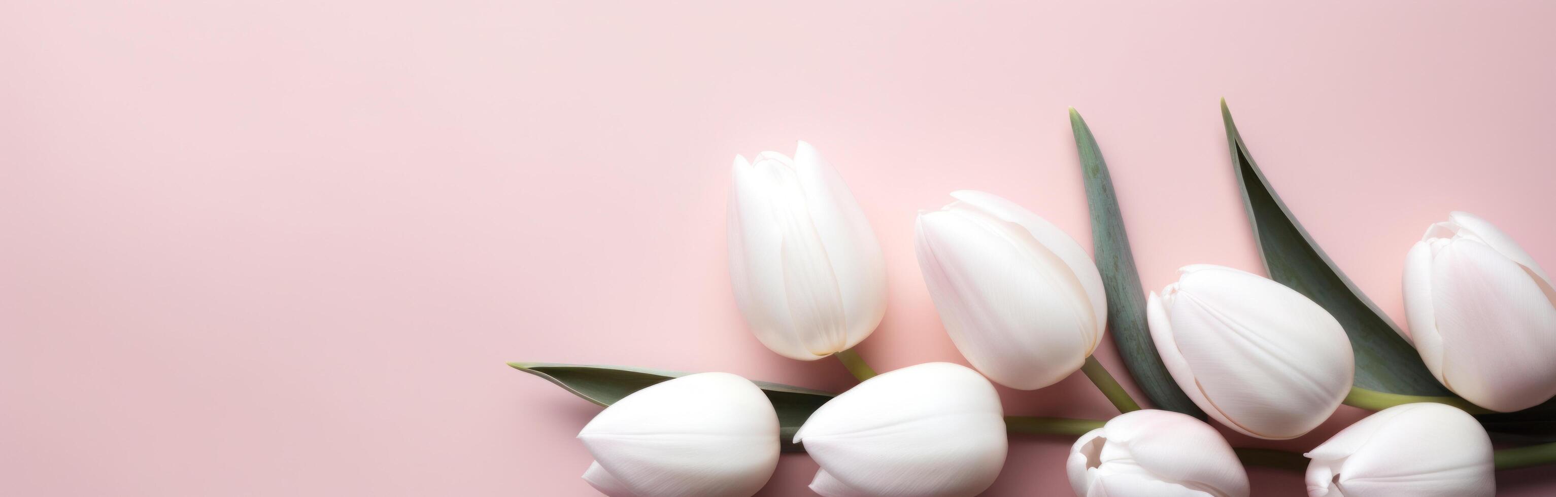 ai généré blanc Pâques tulipes sur rose Contexte photo