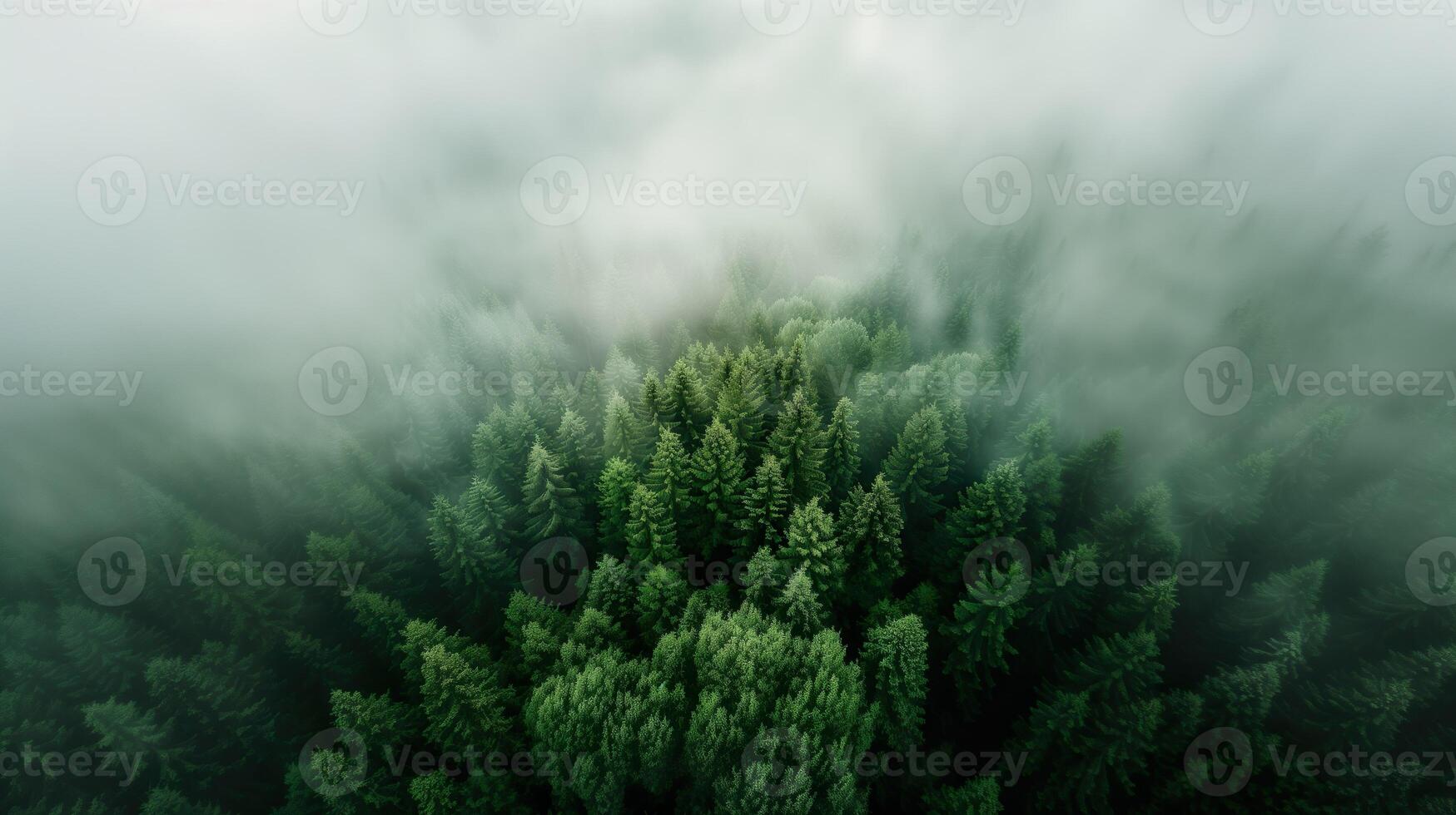 ai généré aérien la perspective vue de brumeux brumeux forêt avec vert pin des arbres. photo