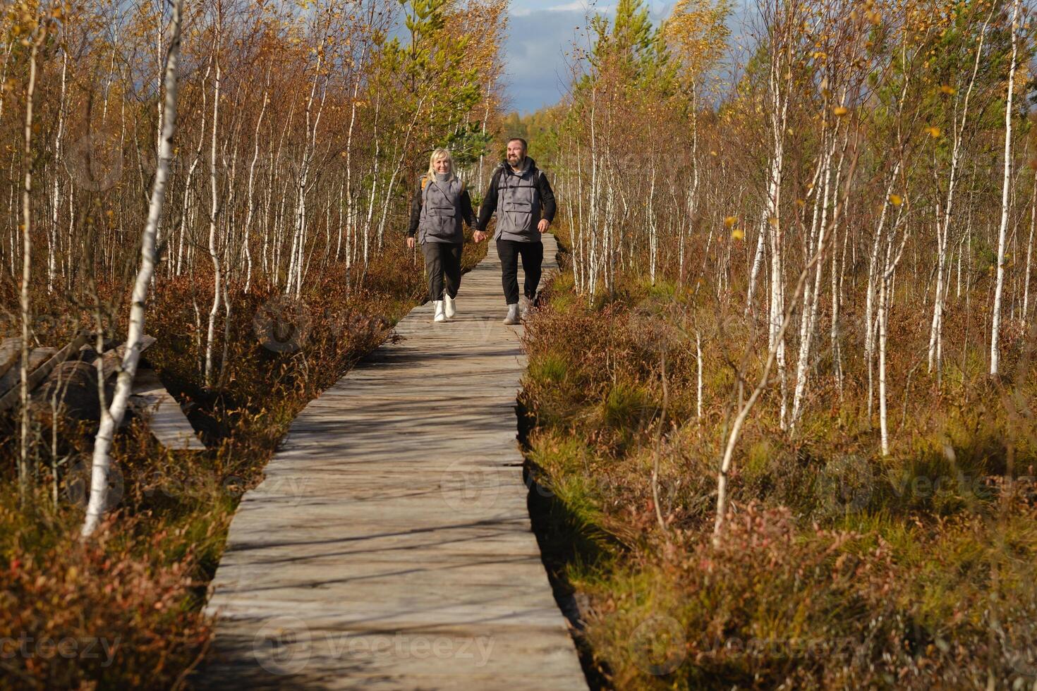 deux touristes marcher le long de une en bois chemin dans une marais dans Elnya, biélorussie photo