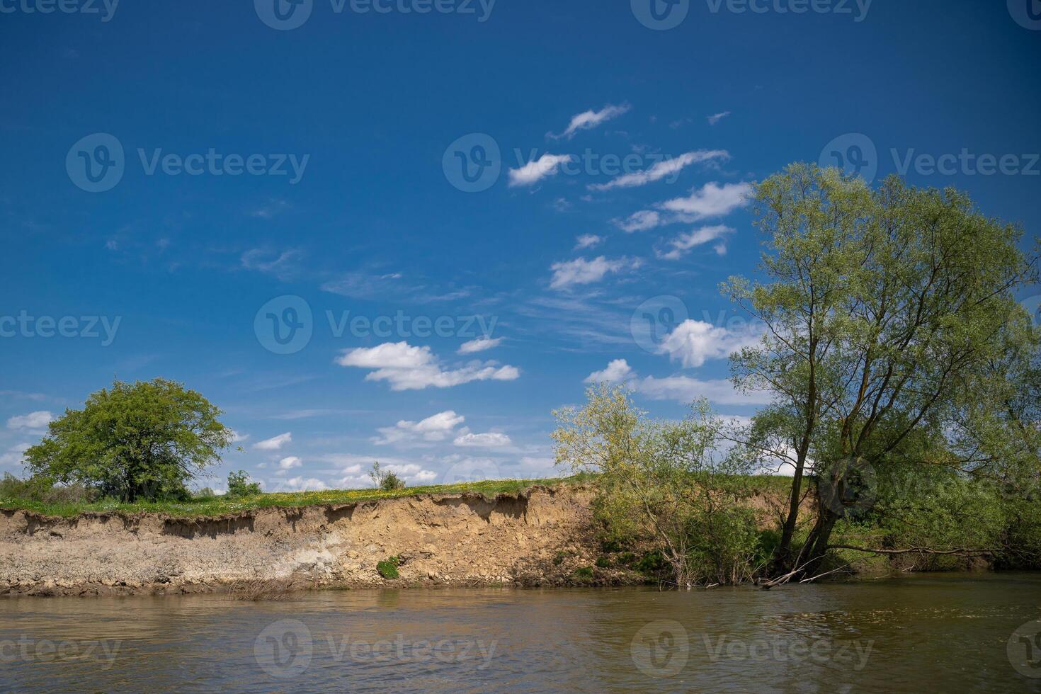 magnifique paysage sur le rivière banque avec bleu ciel et arbre photo