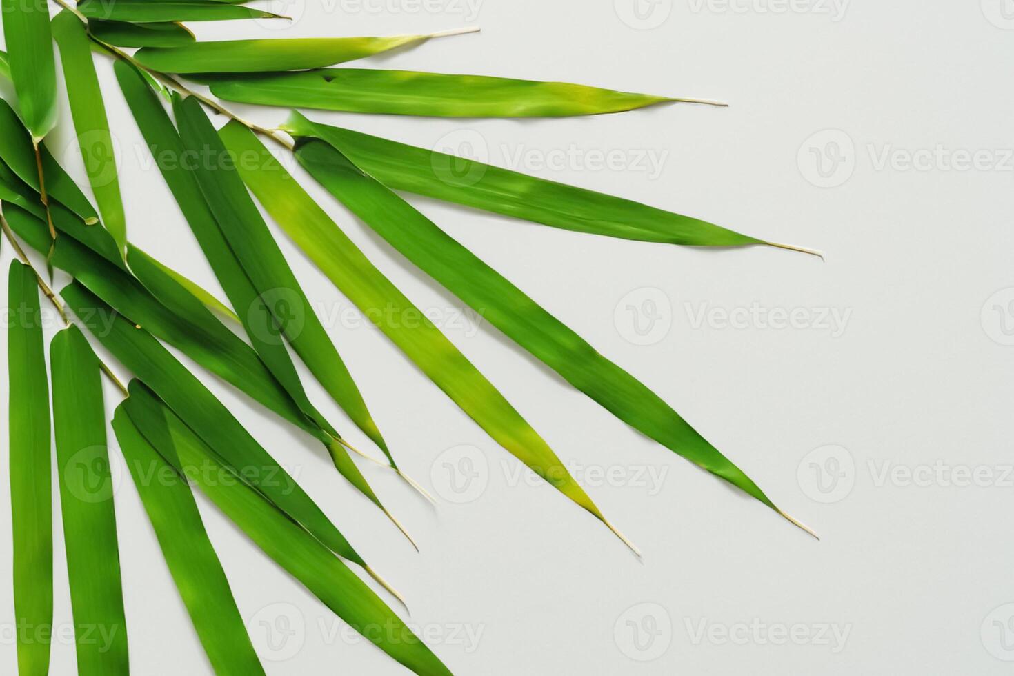 embrassement le séduire de magnifique bambou feuilles, où gracieux vert lames Danse dans harmonieux symphonie, création une tranquille oasis de la nature équilibre et intemporel beauté photo