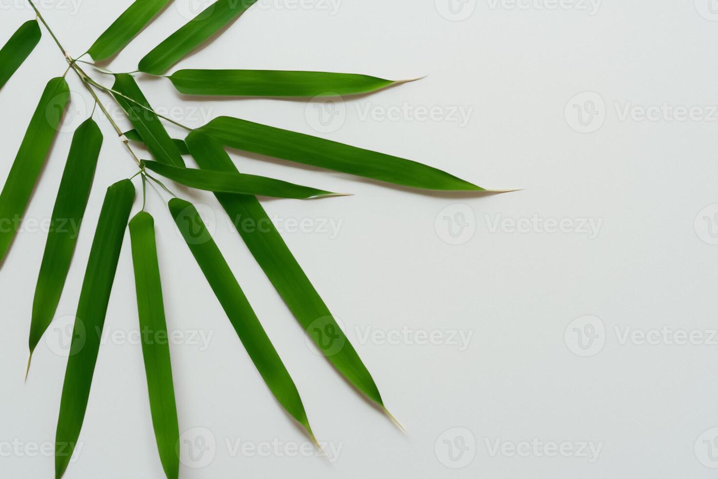 embrassement le séduire de magnifique bambou feuilles, où gracieux vert lames Danse dans harmonieux symphonie, création une tranquille oasis de la nature équilibre et intemporel beauté photo