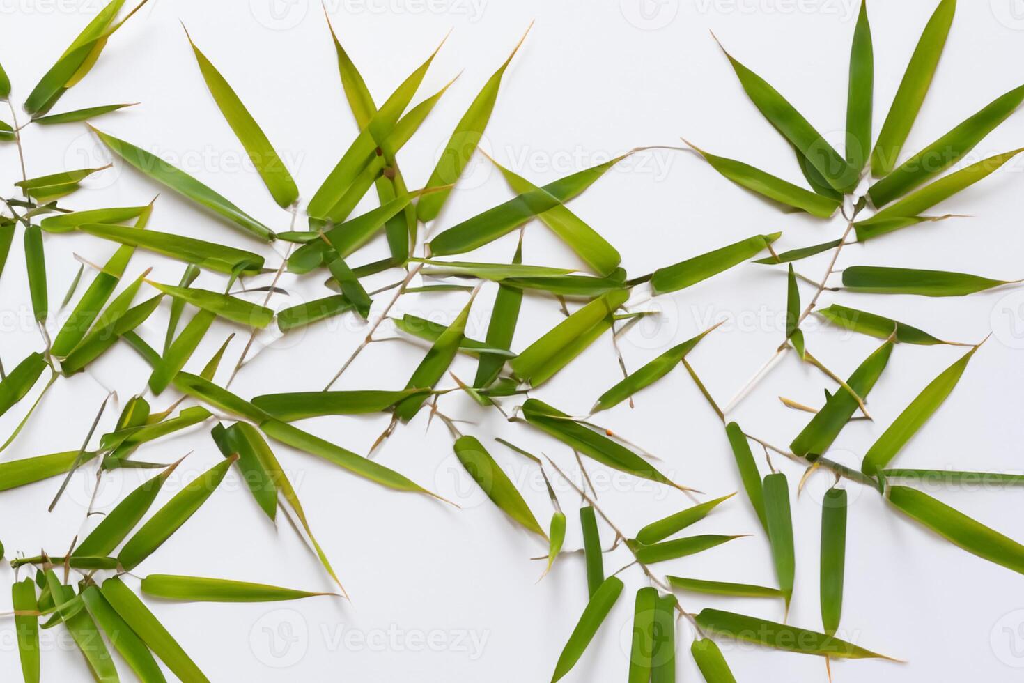 embrassement le séduire de magnifique bambou feuilles, où gracieux vert lames Danse dans harmonieux symphonie, création une tranquille oasis de la nature équilibre et intemporel beauté photo