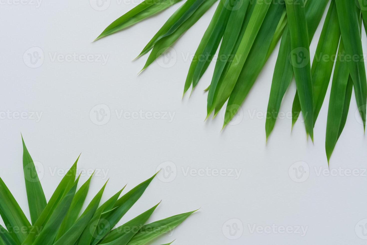 une culinaire odyssée avec le magnifique pandan feuille, infuser délicat arômes et vibrant vert teintes dans exquis plats, élevant saveur profils avec la nature Frais élégance photo