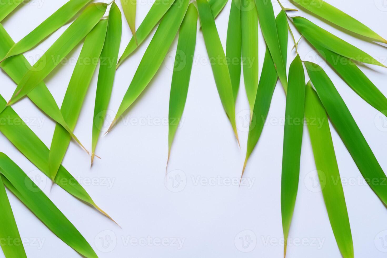 embrassement le séduire de magnifique bambou feuilles, où gracieux vert lames Danse dans harmonieux symphonie, création une tranquille oasis de la nature équilibre et intemporel beauté photo