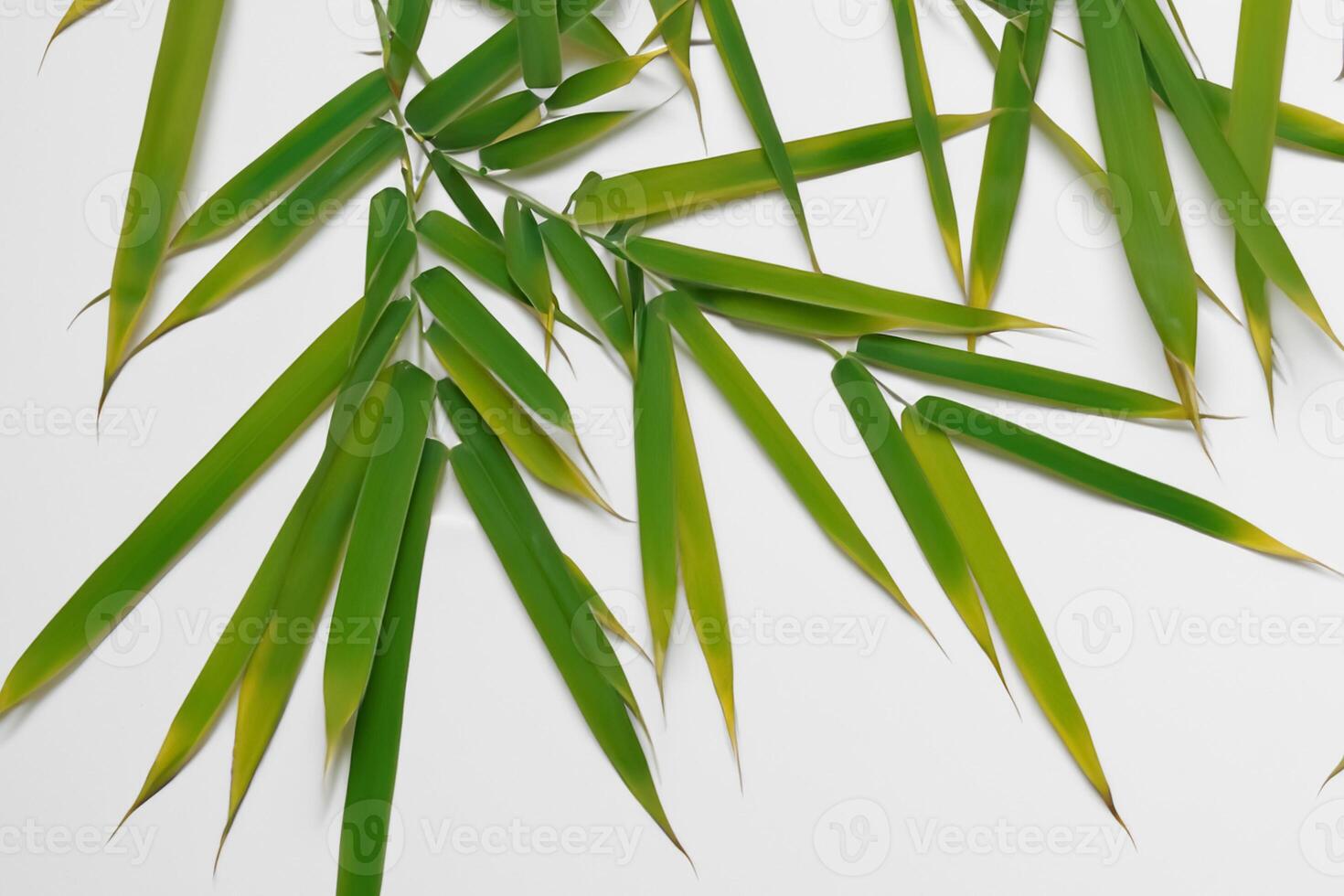 embrassement le séduire de magnifique bambou feuilles, où gracieux vert lames Danse dans harmonieux symphonie, création une tranquille oasis de la nature équilibre et intemporel beauté photo