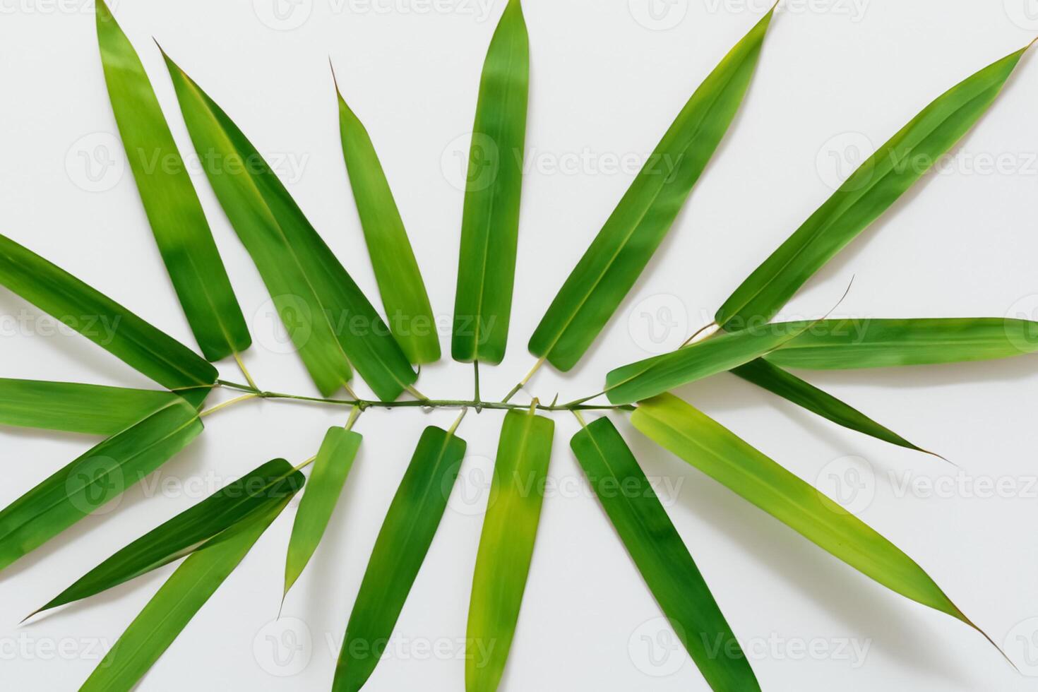 embrassement le séduire de magnifique bambou feuilles, où gracieux vert lames Danse dans harmonieux symphonie, création une tranquille oasis de la nature équilibre et intemporel beauté photo