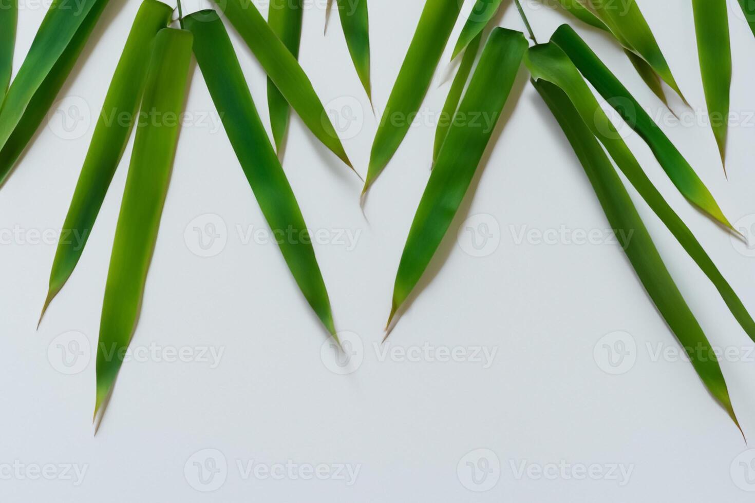 embrassement le séduire de magnifique bambou feuilles, où gracieux vert lames Danse dans harmonieux symphonie, création une tranquille oasis de la nature équilibre et intemporel beauté photo