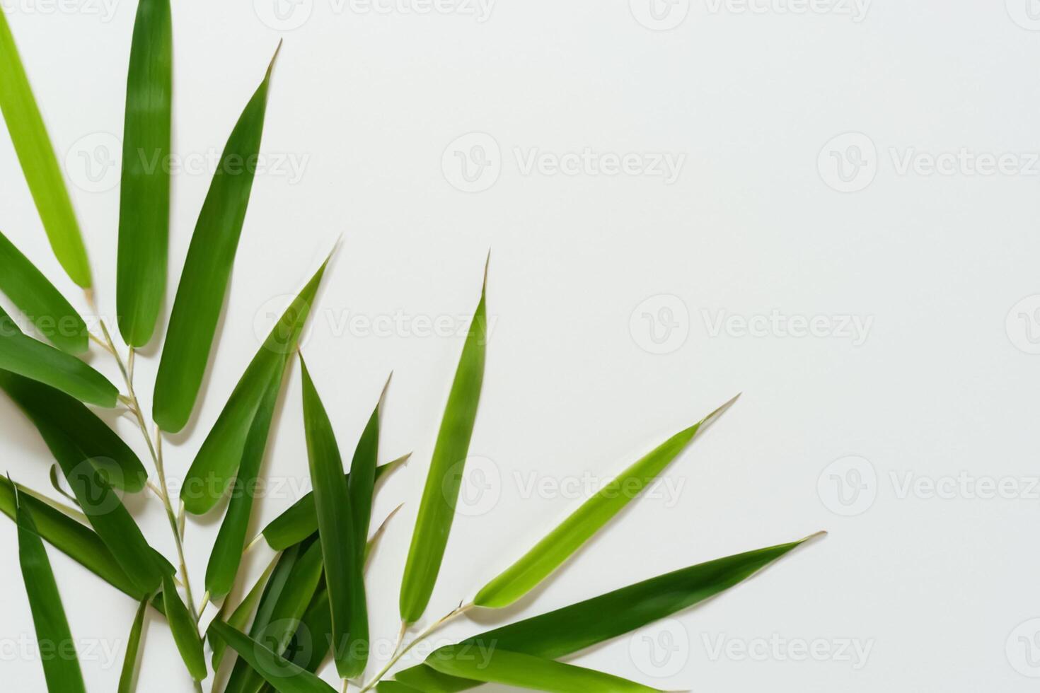 embrassement le séduire de magnifique bambou feuilles, où gracieux vert lames Danse dans harmonieux symphonie, création une tranquille oasis de la nature équilibre et intemporel beauté photo